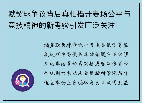 默契球争议背后真相揭开赛场公平与竞技精神的新考验引发广泛关注